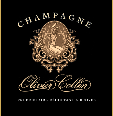 Champagne Olivier Collin